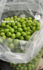 آگهی مشابه فروش الوچه گوجه سبز در بندرگز در گروه خرید و فروش آلو در یکمیوه