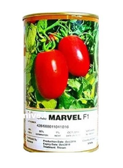 بذر گوجه فرنگی مارول در جیرفت در گروه خرید و فروش بذر گوجه در یکمیوه -عکس1