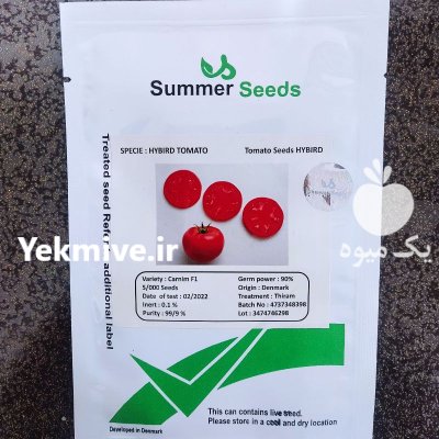 بذر گوجه فرنگی رنجر در انار در گروه خرید و فروش بذر گوجه در یکمیوه -عکس1