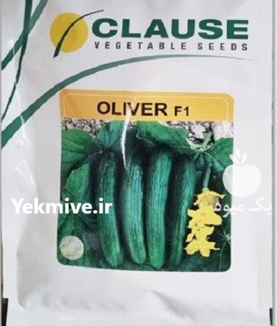 بذر خیار الیور کلوز در جیرفت در گروه خرید و فروش بذر خیار در یکمیوه -عکس1