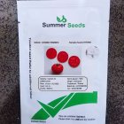 بذر گوجه فرنگی رنجر در انار در گروه خرید و فروش بذر گوجه در یکمیوه