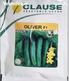 بذر خیار الیور کلوز در جیرفت در گروه خرید و فروش بذر خیار در یکمیوه