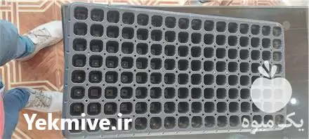 قیمت خرید تولید پخش سینی نشا در تهران در گروه خرید و فروش نشا در یکمیوه -عکس1