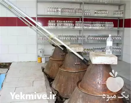 فروش گل محمدی در قزوین در گروه خرید و فروش انواع عرقیجات در یکمیوه -عکس1