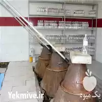 فروش گل محمدی در قزوین در گروه خرید و فروش انواع عرقیجات در یکمیوه