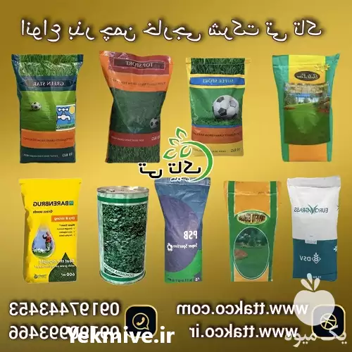 قیمت خرید انواع بذر چمن بذر در گرگان در گروه خرید و فروش بذر چمن در یکمیوه -عکس1