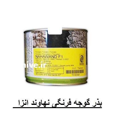 بذر گوجه نهاوند در بهار  در گروه خرید و فروش بذر گوجه در یکمیوه -عکس1