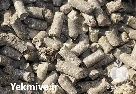 قیمت خرید تفاله چغندر در ارومیه در گروه خوراک دام و طیور در یکمیوه -عکس1