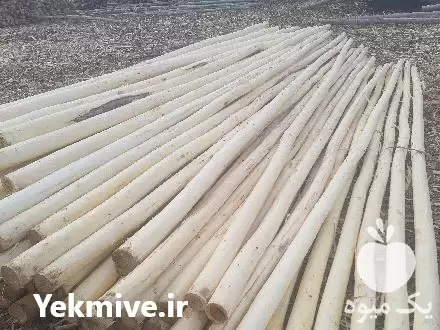 فروش توزیع چوب گلخانه نردبانی شمعی در تهران در گروه خرید و فروش انواع چوب در یکمیوه -عکس1