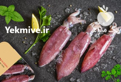 اسلایسر ماهی مرکب اسکویید در بوشهر در گروه خرید و فروش تجهیزات ماهی در یکمیوه -عکس3