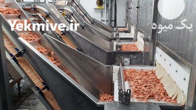 خط شستشو و فرآوری میگو در بوشهر در گروه خرید و فروش خط تولید در یکمیوه -عکس3