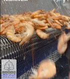 خط شستشو و فرآوری میگو در بوشهر در گروه خرید و فروش خط تولید در یکمیوه