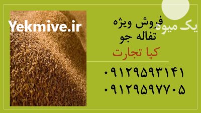 تفاله جو کیسه شده تفاله جو در تهران در گروه خوراک دام و طیور در یکمیوه -عکس1
