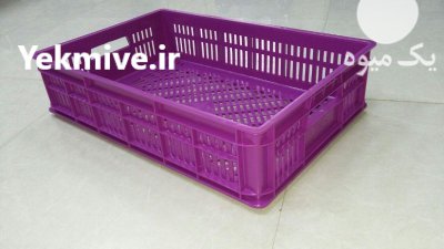 فروش سبد ماهی در بندرلنگه در هرمزگان در گروه خرید و فروش انواع سبد در یکمیوه -عکس2