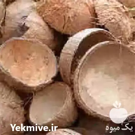 فروش خریدار پوست نارگیل در تهران در گروه خرید و فروش نارگیل آناناس در یکمیوه -عکس1