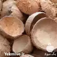 فروش خریدار پوست نارگیل در تهران در گروه خرید و فروش نارگیل آناناس در یکمیوه