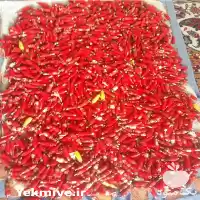 تولید و فروش تجهیزات مرغداری در قزوین در گروه تجهیزات مرغداری در یکمیوه