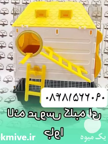 قیمت خرید مجموعه کوروش عرضه کننده در تهران در گروه خرید و فروش انواع پرنده در یکمیوه -عکس1