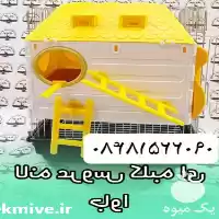 قیمت خرید مجموعه کوروش عرضه کننده در تهران در گروه خرید و فروش انواع پرنده در یکمیوه