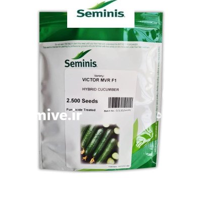 بذر خیار هیبرید ویکتور در زنگنه در گروه خرید و فروش بذر خیار در یکمیوه -عکس1
