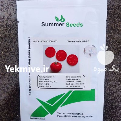 بذر گوجه فرنگی رنجر در دزج در گروه خرید و فروش بذر گوجه در یکمیوه -عکس1