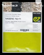 بذر خیار گلخانه ای ناگین در بروجن در گروه خرید و فروش بذر خیار در یکمیوه