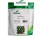 بذر خیار هیبرید ویکتور در زنگنه در گروه خرید و فروش بذر خیار در یکمیوه