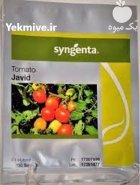 بذر گوجه فرنگی جاوید در پارسیان در گروه خرید و فروش بذر گوجه در یکمیوه