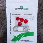 بذر گوجه فرنگی رنجر در دزج در گروه خرید و فروش بذر گوجه در یکمیوه