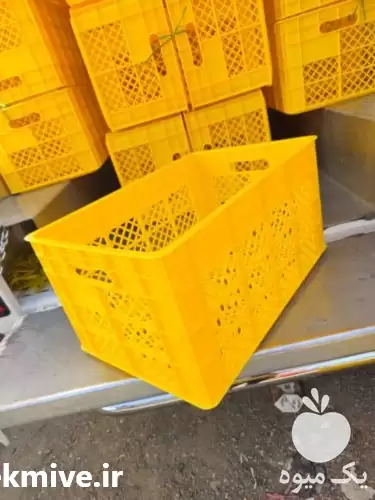 فروش سبد کشتارگاهی در تهران در گروه خرید و فروش انواع سبد در یکمیوه -عکس1