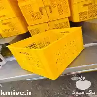 فروش سبد کشتارگاهی در تهران در گروه خرید و فروش انواع سبد در یکمیوه