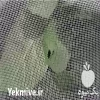 فروش توری ضدحشره وارداتی درجه یک در تهران در گروه خرید و فروش توری گلخانه در یکمیوه
