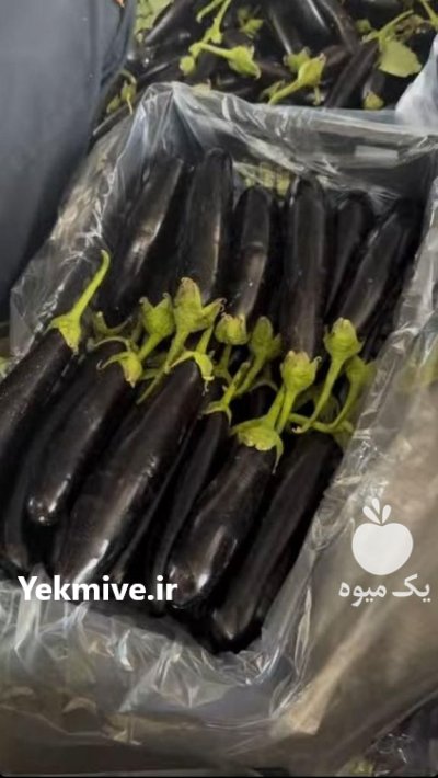 باربارکن محصولات کشاورزی دزفول در خوزستان در گروه بار بارکن محصولات کشاورزی در یکمیوه -عکس2