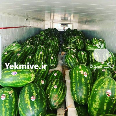 باربارکن محصولات کشاورزی دزفول در خوزستان در گروه بار بارکن محصولات کشاورزی در یکمیوه -عکس1