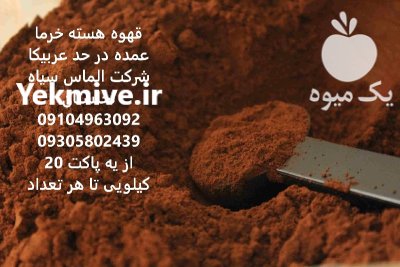 قیمت خرید پودر قهوه خرما عمده در تهران در گروه خرید و فروش خرما در یکمیوه -عکس3