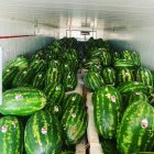 باربارکن محصولات کشاورزی دزفول در خوزستان در گروه بار بارکن محصولات کشاورزی در یکمیوه