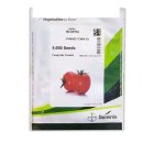 بذر گوجه بدرو در ایلام در گروه خرید و فروش بذر گوجه در یکمیوه