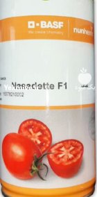 بذر گوجه ناسادت در بوشهر در گروه خرید و فروش بذر گوجه در یکمیوه