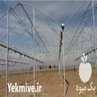 فروش گلخانه دست دوم در بوکان در گروه خرید و فروش سوله و سازه گلخانه در یکمیوه