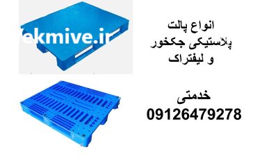 تولید پالت پلاستیکی صادراتی پالت قفسه در تهران در گروه خرید و فروش پالت در یکمیوه -عکس1