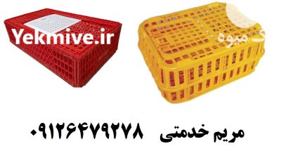 قیمت خرید قفس حمل مرغ زنده در مشهد در گروه تجهیزات مرغداری در یکمیوه -عکس1