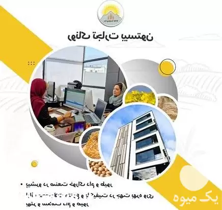 قیمت خرید خوراک دام و طیور در کرج در گروه خوراک دام و طیور در یکمیوه -عکس1