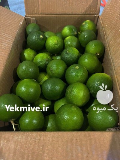 لیموترش رودان در دهبارز در گروه خرید و فروش لیمو ترش در یکمیوه -عکس1