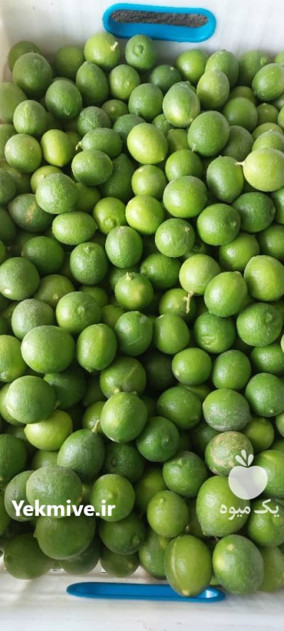 لیموترش رودان در دهبارز در گروه خرید و فروش لیمو ترش در یکمیوه -عکس2