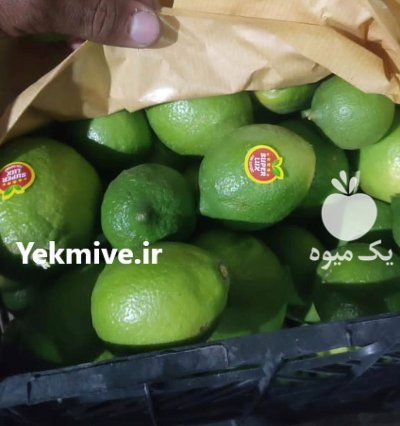 لیموترش رودان در دهبارز در گروه خرید و فروش لیمو ترش در یکمیوه -عکس3