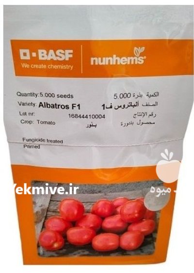 فروش بذر گوجه فرنگی آلباتروس در بروجن در گروه خرید و فروش بذر گوجه در یکمیوه -عکس1