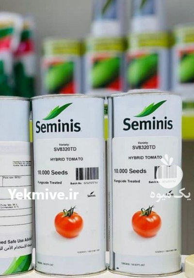 بذر گوجه 8320 بذر گوجه 8320 در بار  در گروه خرید و فروش بذر گوجه در یکمیوه -عکس1