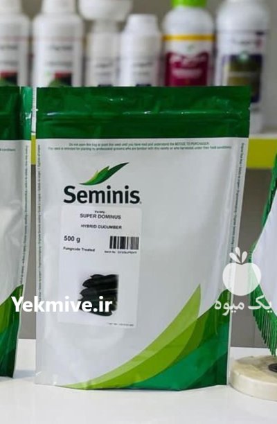 بذر خیار سوپر دومینوس در بدره در گروه خرید و فروش بذر خیار در یکمیوه -عکس1