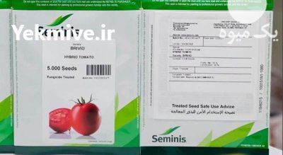 بذر گوجه فرنگی بریویو در بشرویه در گروه خرید و فروش بذر گوجه در یکمیوه -عکس1
