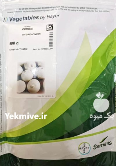 بذر پیاز سفید سایروس در انار در گروه خرید و فروش بذر پیاز در یکمیوه -عکس1